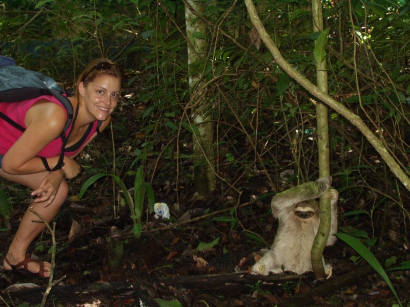 sloth2.jpg