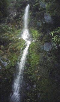 The gold at the end of the waterfall trail.  Lewis Pass 9/27
