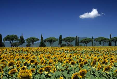 Maremma Tuscany