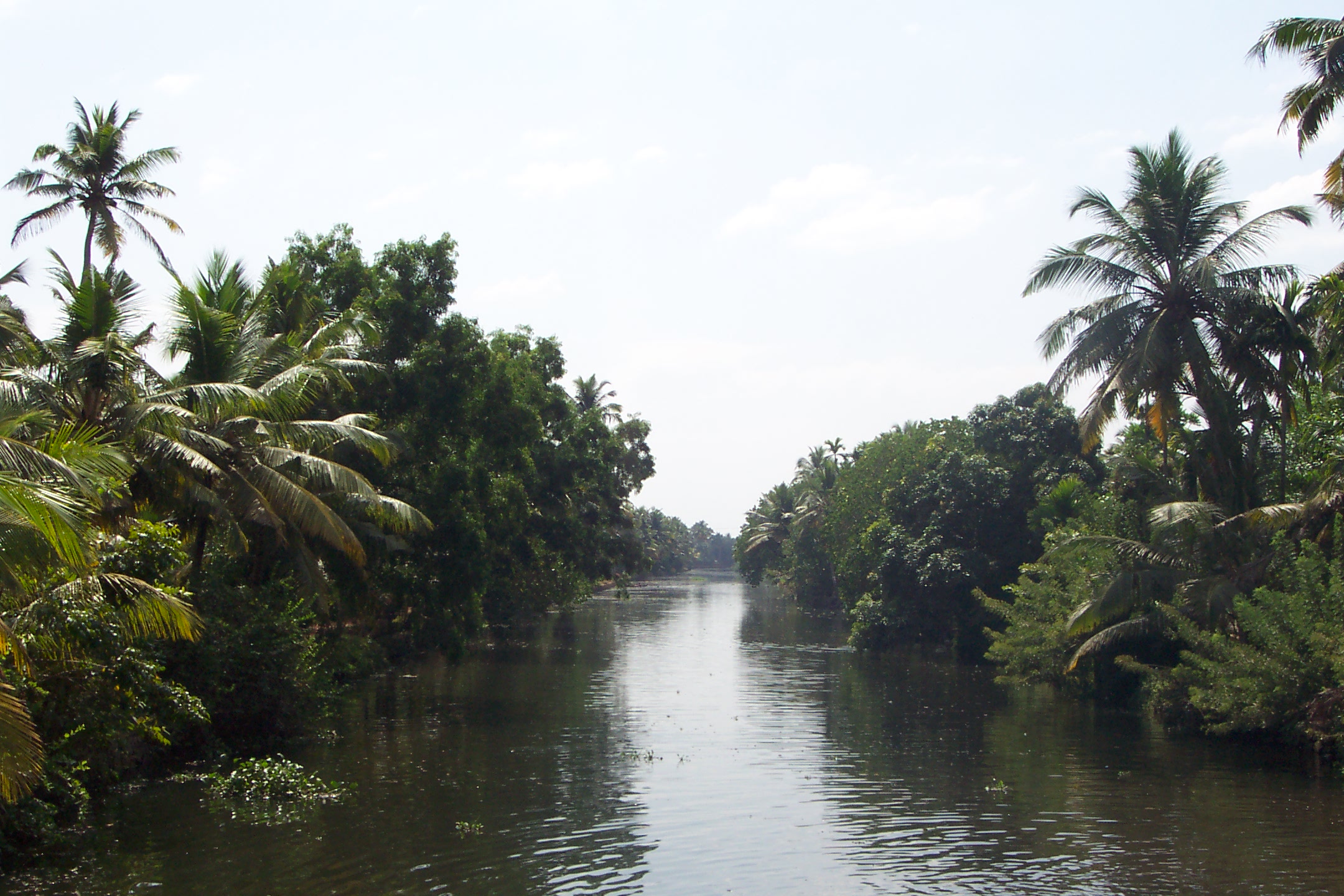 kerala_tourism.jpg