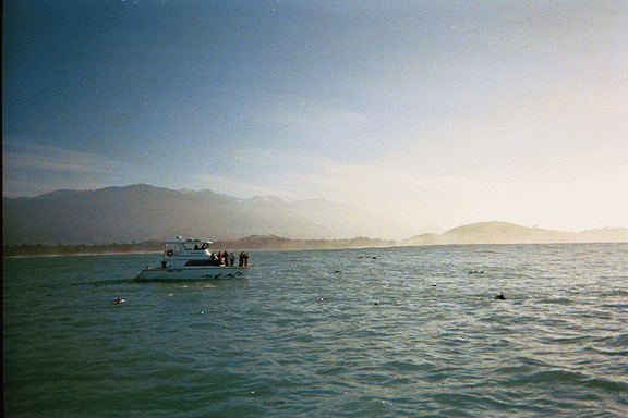 A00087.gif