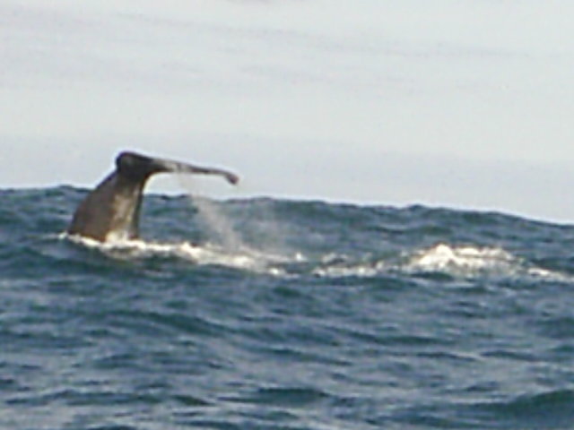 S4010638.JPG
