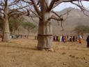 Tabaski prayers amongst the Baobabs