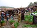 The weekly okra market
