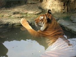 DSCN0183.jpg