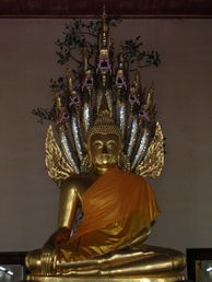 DSCN0247.jpg
