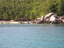 DSCN0306.jpg
