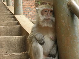 DSCN0346.jpg