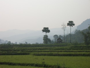 DSCN0611.JPG