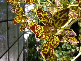 DSCN1021.JPG