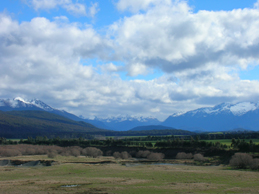 DSCN2187.JPG