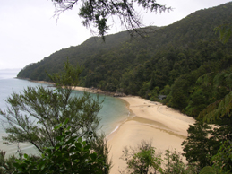 DSCN2342.JPG