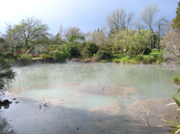 DSCN2487.JPG