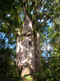 DSCN2570.JPG