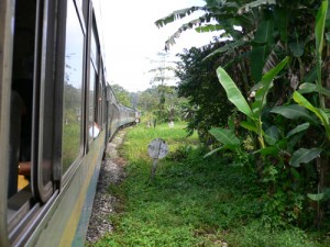 Jungle Train, Malesia