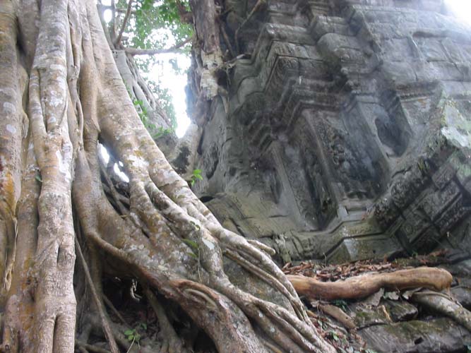 Ankor1.jpg