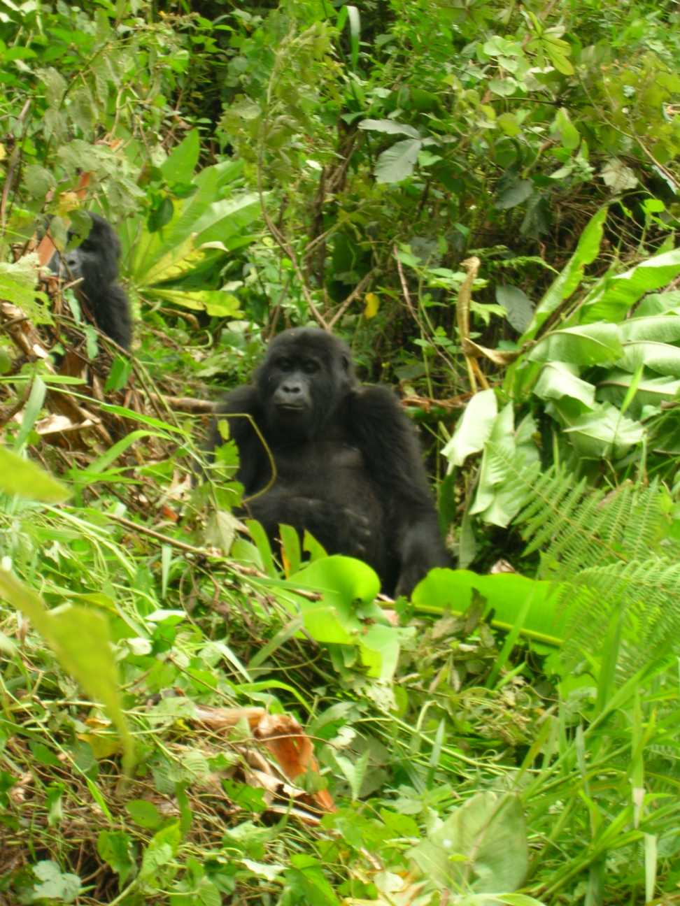 DSCN0532.jpg