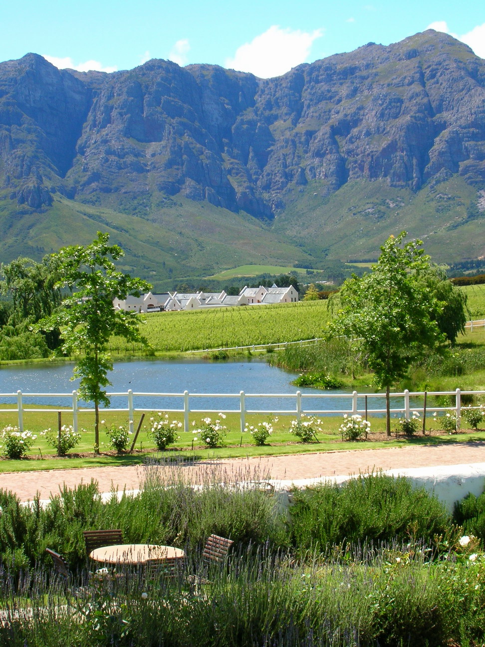 Stellenbosch.jpg