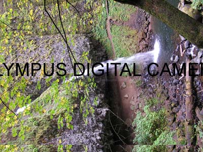 jill crazy nurse 001