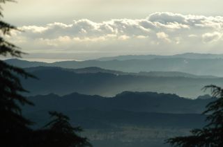 Dsc_0091.jpg