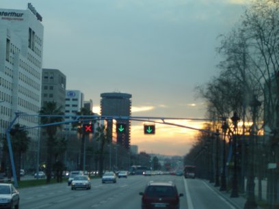 DSC00932.jpg