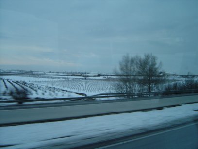 DSC00940.jpg