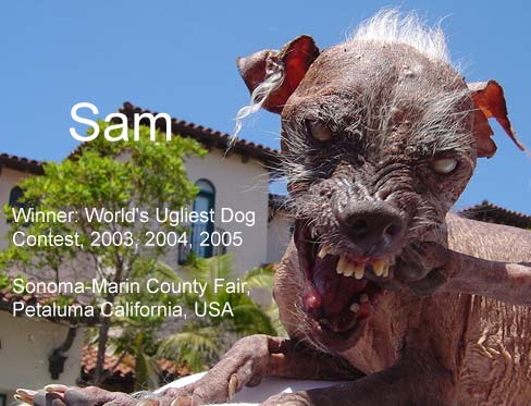 sam4small.jpg