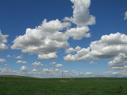 farmland