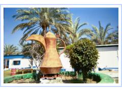 Madhab Garden Tea Pot.jpg