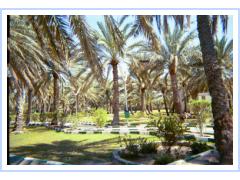 Madhab Garden1.jpg