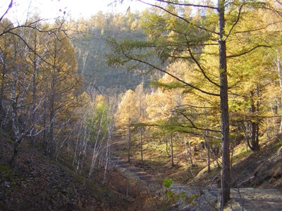 Fall in Park