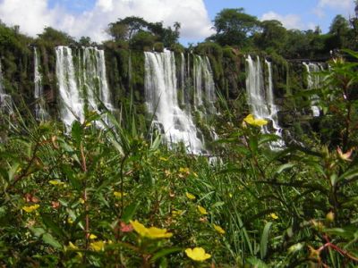 Iguazu4