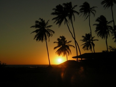 Jeri Sunset