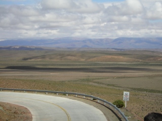 Puna