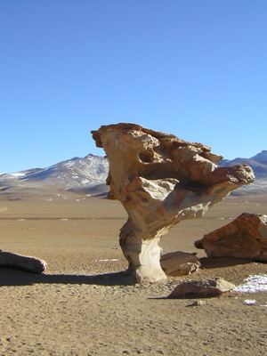 Rock Tree