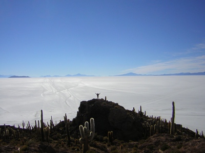 Salt Desert