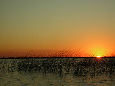 Sunset.JPG