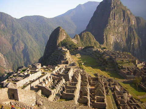 Layout