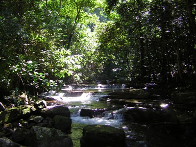 Streams
