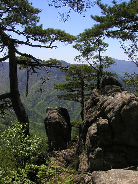 rocks and pines, Weoraksan