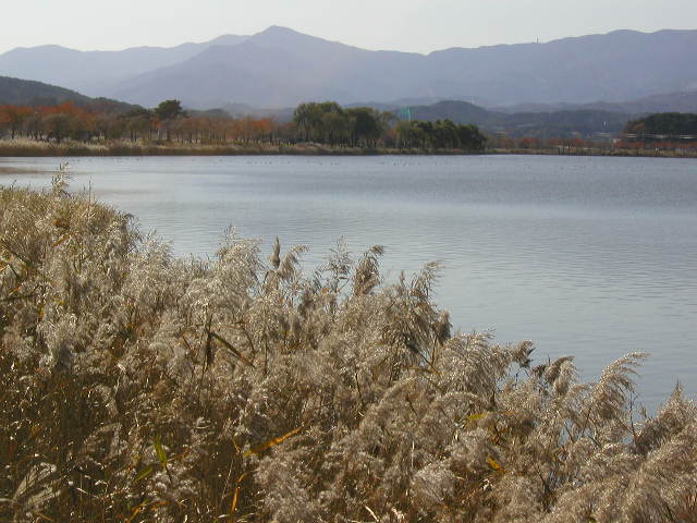 Kyeongpo Lake