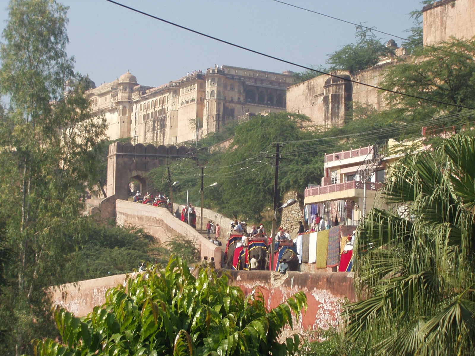 P1010075.JPG