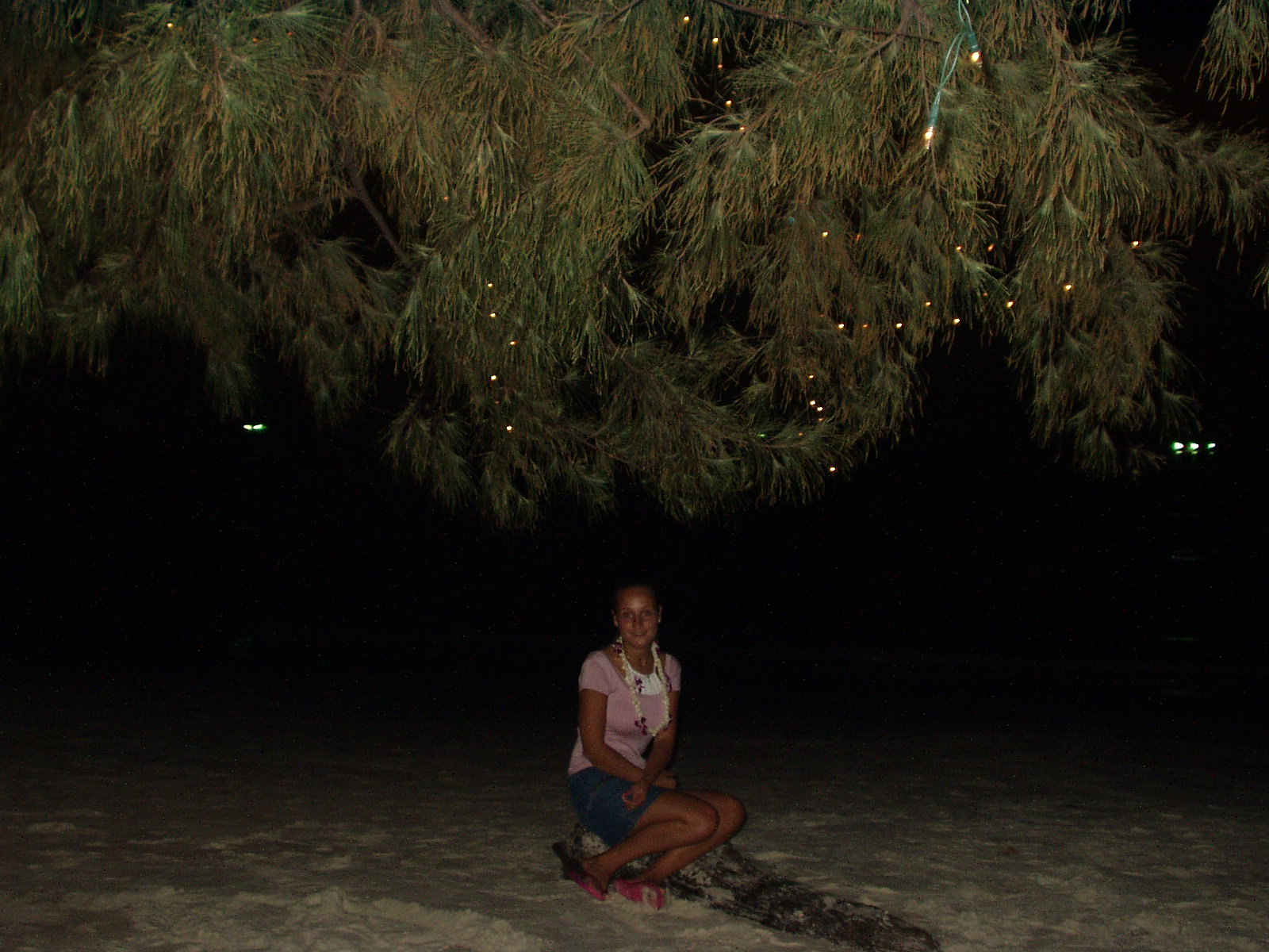 P1010236.JPG