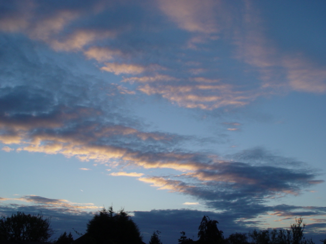 DSC00485.JPG