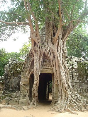 Angkor