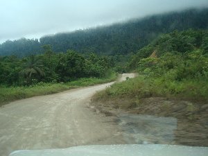 Logging Road 2