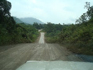 Logging Road 3