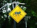 monkey-crossing-sign.jpg