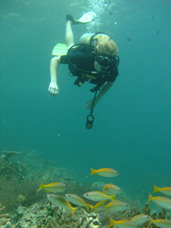 diving-4.jpg