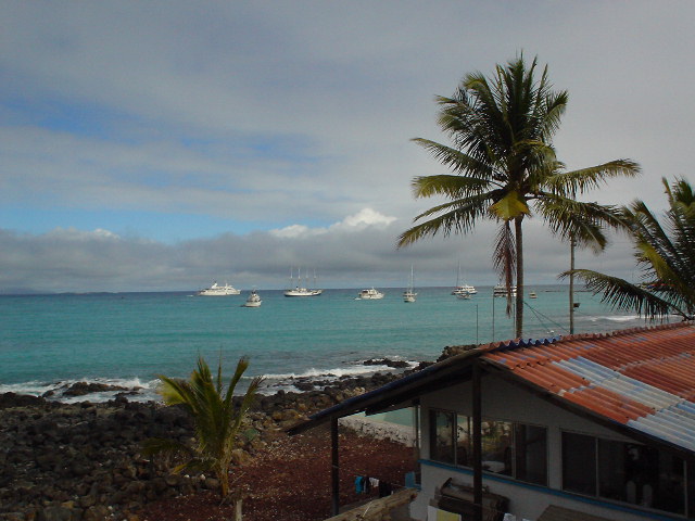 DSC01511hotelview.JPG